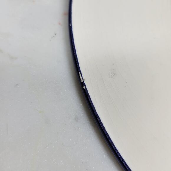 Vtg Hand Painted Israel Ceramic Wall Plate 8.5” Grapes Floral Botanical Blue Rim - Picture 8 of 16